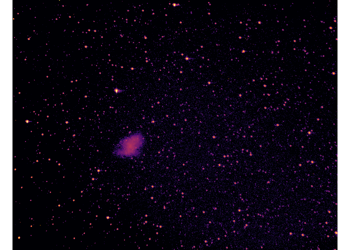 Rhaina B. | The Crab Nebula's Purple Glory